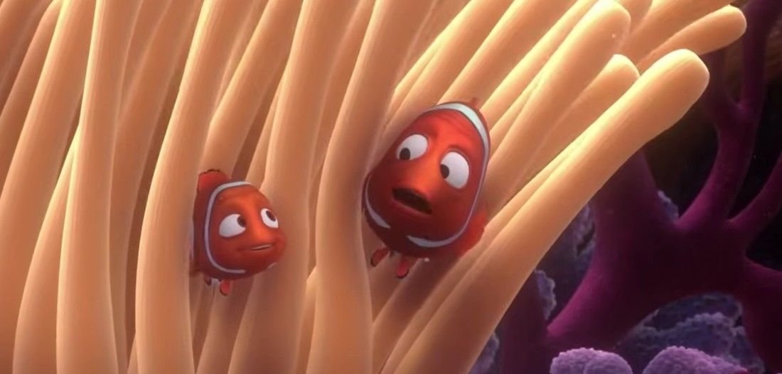Finding Nemo